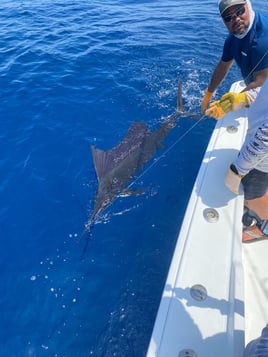 Offshore fishing, Panama