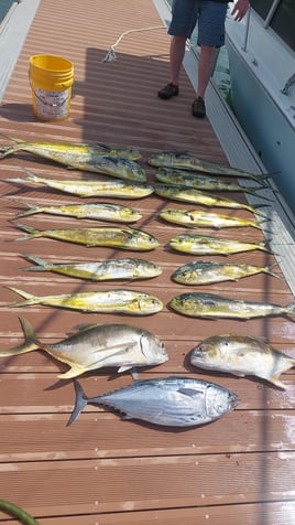 Offshore fishing, Panama