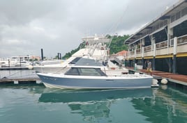 6 Hour Trip – Family Fun