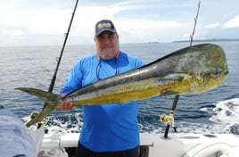 8 Hour Trip – Taboga