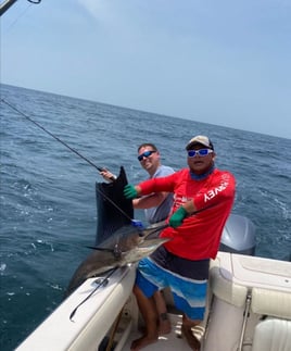 8 Hour Trip – Mahi Mahi & Sailfish