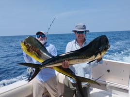 8 Hour Trip – Mahi Mahi & Sailfish