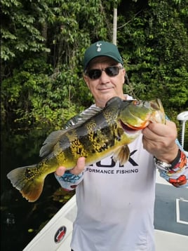 3-12 Hours Fishing Trip 