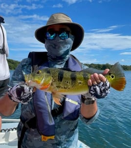 3-12 Hours Fishing Trip 