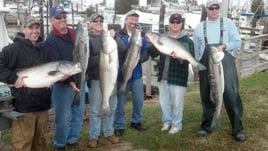 Full Day Trip – Summer 