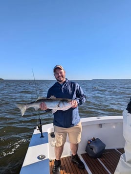 4-8 Hour Inshore Trip
