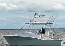 4-8 Hour Inshore Trip