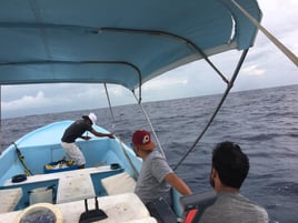 Snorkling and Eco Tours 