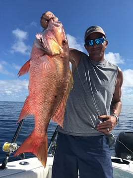 4-8 Hour Offshore Trip 