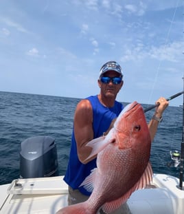 4-8 Hour Offshore Trip 