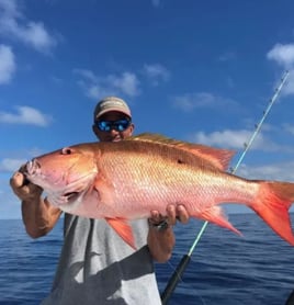 4-8 Hour Offshore Trip 