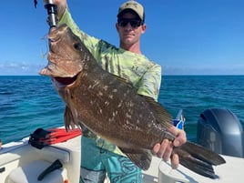 4-8 Hour Offshore Trip 