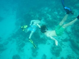 Scuba/Snorkel excursions