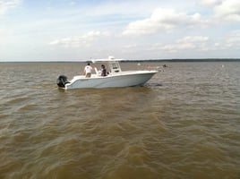 Bay And Jetty Fishing