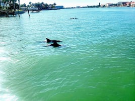 Private Boat Charters