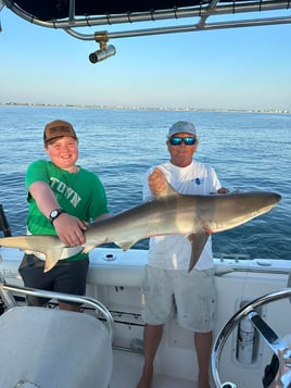 Shark Fishing