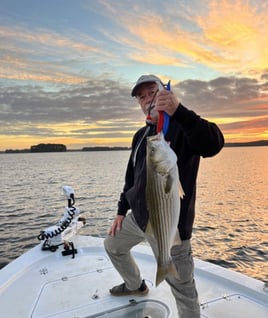 Stripe Bass fishing Trip