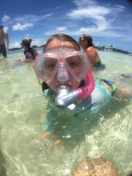 Dolphin Watching Sandbar Sarasota