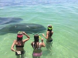 Sunset Tours in Sarasota