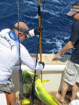 Sport Fishing Trips