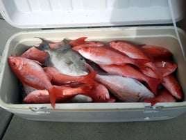 Sport Fishing Trips