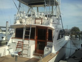 Sport Fishing Trips
