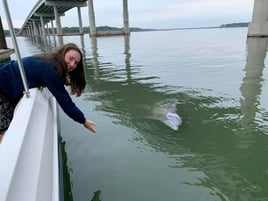 Deluxe Dolphin Experience