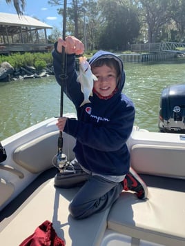 Fishing and Dolphin Trip