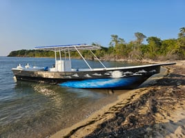 Offshore Fishing Trip - 32' Panga