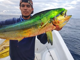 Offshore Fishing Trip - 32' Panga