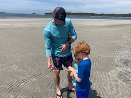 Island Exploration and Shelling