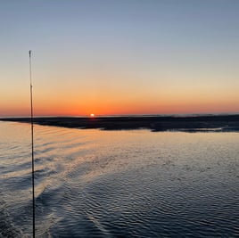 Fripp Inlet Ecosystem Cruise