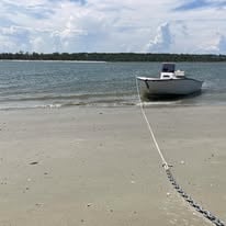 Fripp Inlet Ecosystem Cruise