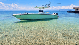 Offshore Fishing Trip