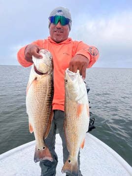 4-6 Hour Inshore Trip