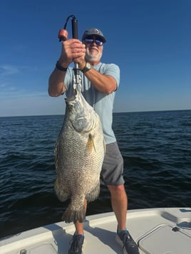 Tails in the Tides-Redfish & Trout