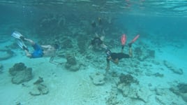 Key Largo Fishing & Snorkel Combo
