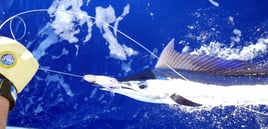 Kona Fishing & Snorkeling