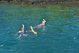 Fishing and Snorkel Trips
