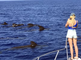 Fishing and Snorkel Trips