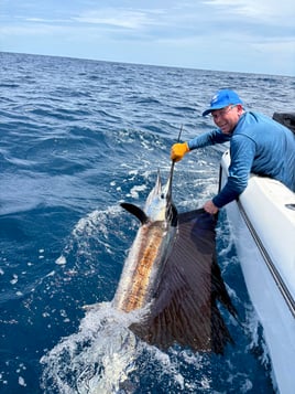 Full Day Offshore or Inshore