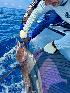 Full Day Offshore or Inshore