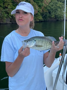 TN River Crappie