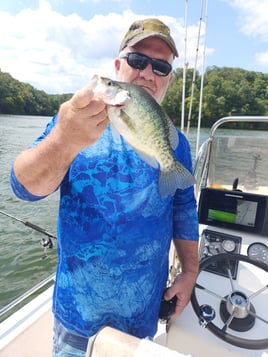 TN River Crappie