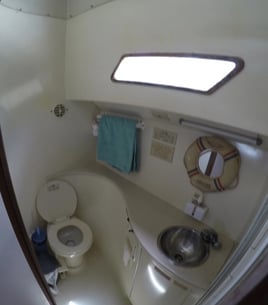 SNORKELING AND SPORT FISHING.