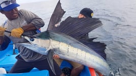 4-8 Hour Offshore Trip