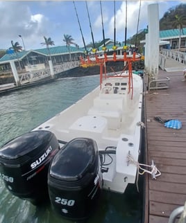 4-8 Hour Offshore Trip