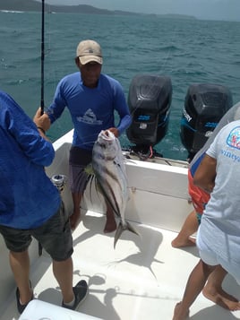 4-8 Hour Offshore Trip