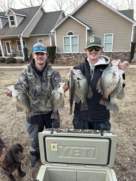 Crappie in Salisbury