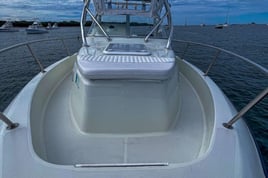 Big Game Fishing - 28′ Century